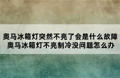 奥马冰箱灯突然不亮了会是什么故障 奥马冰箱灯不亮制冷没问题怎么办